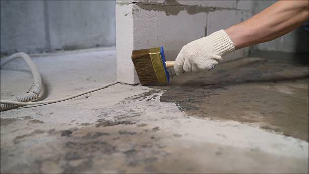 SJ Waterproofing Pros Crawl Space Encapsulation coverage map for Cedarville, NJ and surrounding area